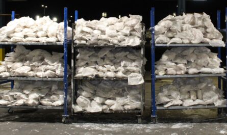 Texas Border Agents Seize $16 Million Methamphetamine Hidden in Mango Shipment