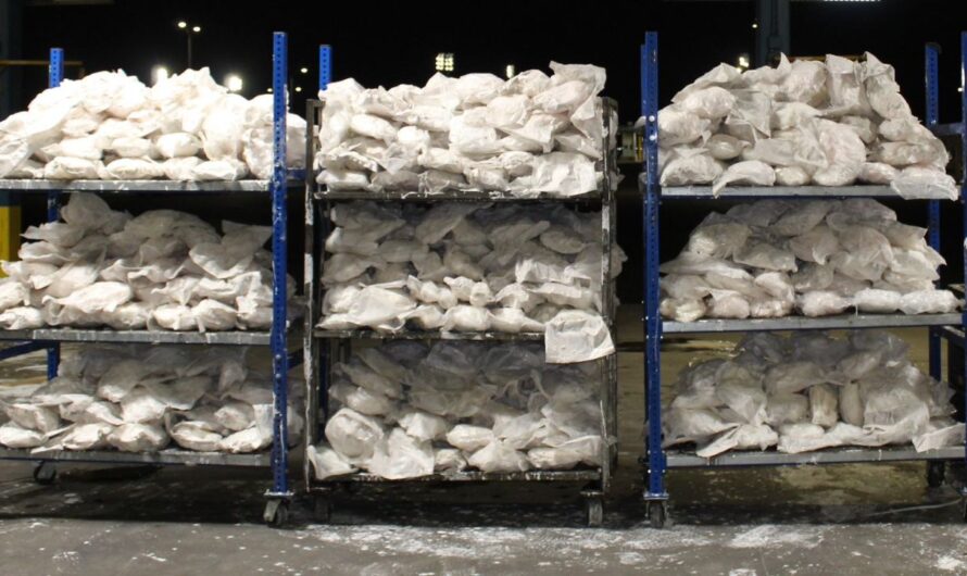 Texas Border Agents Seize $16 Million Methamphetamine Hidden in Mango Shipment