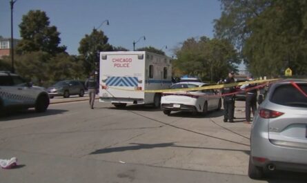 Tragic Shooting of Chicago Mom Romeca Meeks-Blackmon Minutes After Dropping Son at School