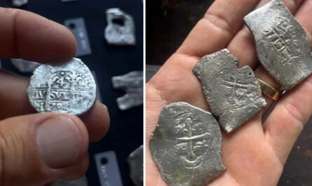 $1 Million in Gold and Silver Coins Discovered from Historic 1715 Florida Treasure Fleet Shipwreck