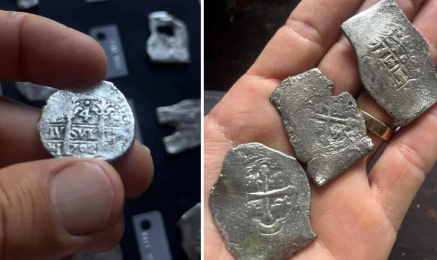 $1 Million in Gold and Silver Coins Discovered from Historic 1715 Florida Treasure Fleet Shipwreck