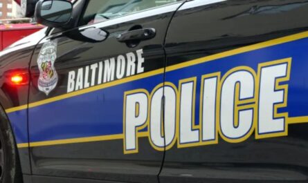 Baltimore Police Shoot Rescue Dog Roscoe After Sudden Aggression, Owner Also Injured