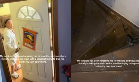 Chicago Landlord Allegedly Destroys Tenant’s Stairs with Bat, Trapping Them Inside