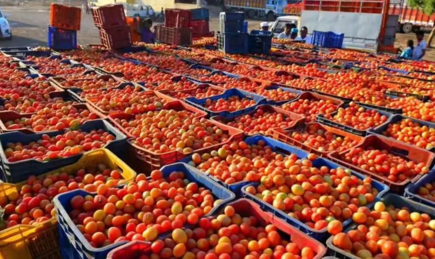 Customer Demands Farmers Market Move Closer to Save 25 Cents on Parking—Farm Owner Responds