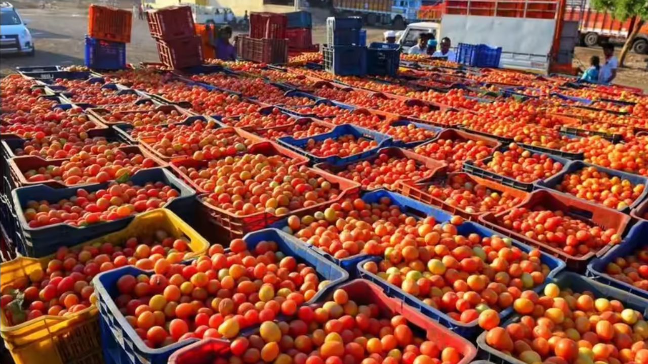 Customer Demands Farmers Market Move Closer to Save 25 Cents on Parking—Farm Owner Responds