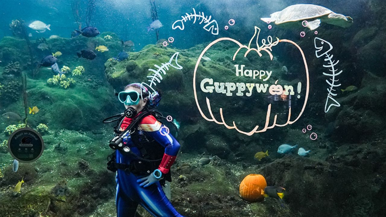 Florida Aquarium's Guppyween Delights Families with Sensory-Friendly Halloween Fun