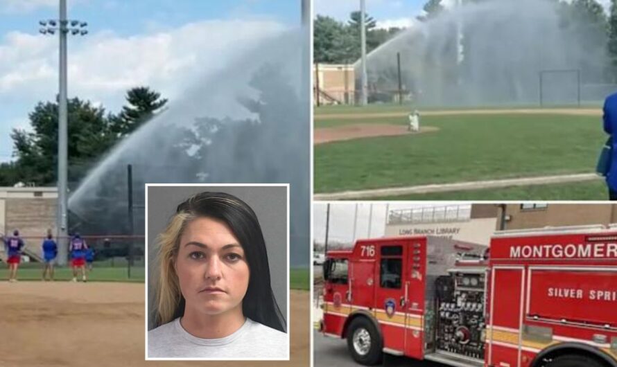 Florida Firefighter Accused of Harassing Ex by Dumping 75 Red-Stained Tampons in Yard