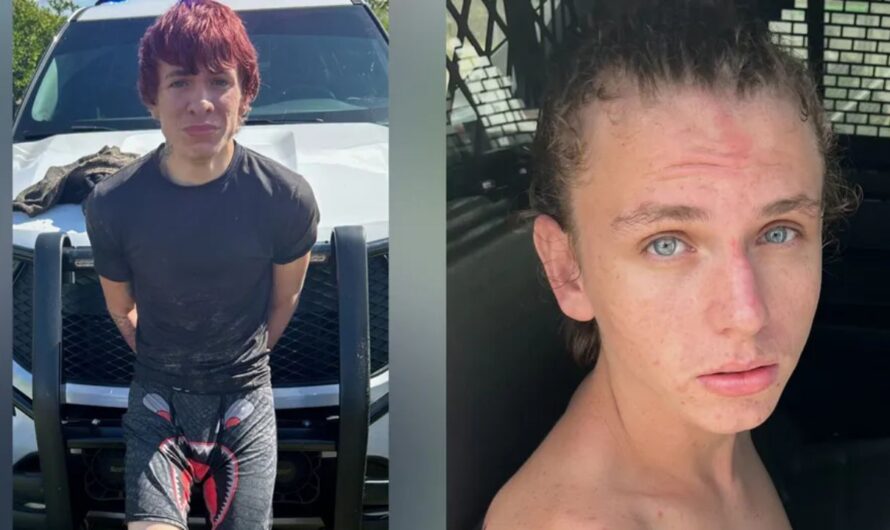 Florida K-9 Units Apprehend Suspects Swimming from Crashed Stolen Vehicle with Ski Masks and Fake Gun