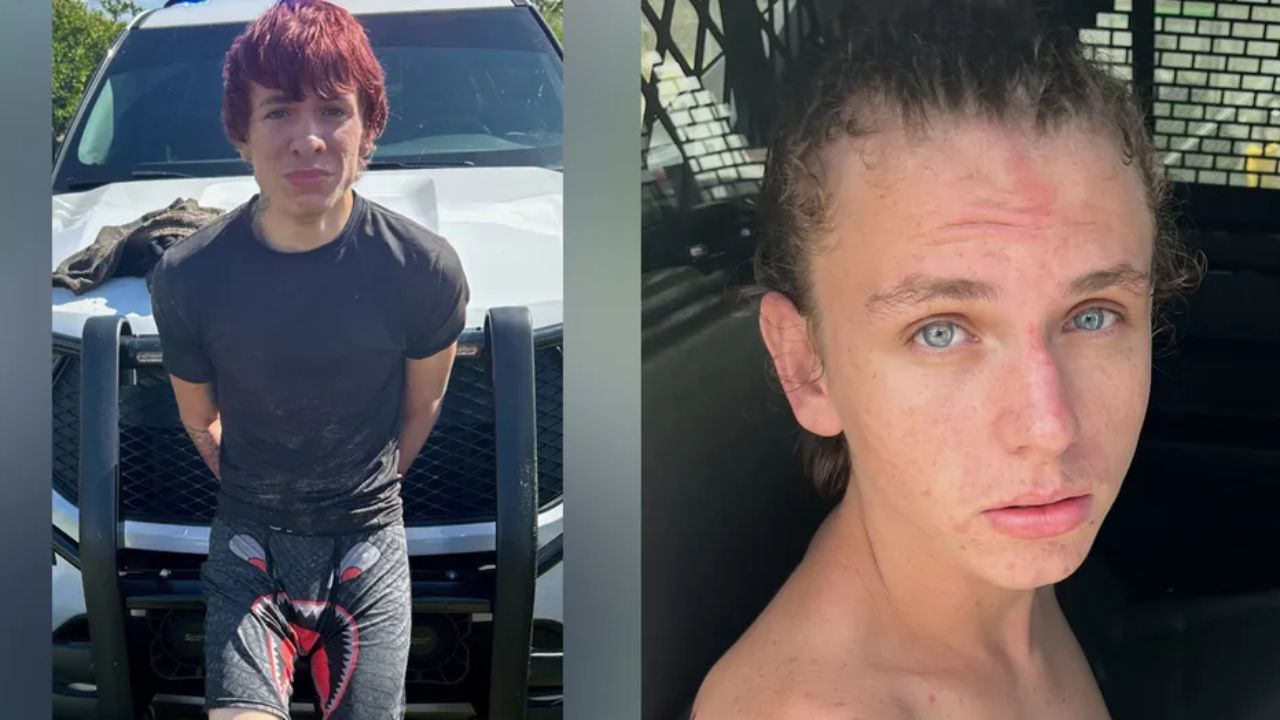 Florida K-9 Units Apprehend Suspects Swimming from Crashed Stolen Vehicle with Ski Masks and Fake Gun