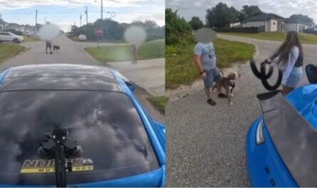 Florida Porsche Driver Pulls Gun on Non-English Speaking Family After Dangerous Near-Collision