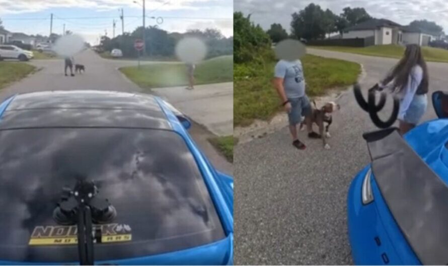 Florida Porsche Driver Pulls Gun on Non-English Speaking Family After Dangerous Near-Collision