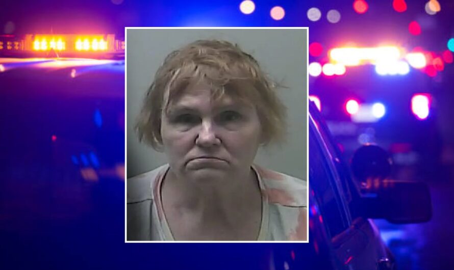 Michigan Babysitter Faces 47 Charges of Child Sexual Abuse in Shocking Case