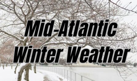 Mid-Atlantic Winter Weather Mild Thanksgiving Expected with Low Snow Chances in Pennsylvania and New Jersey