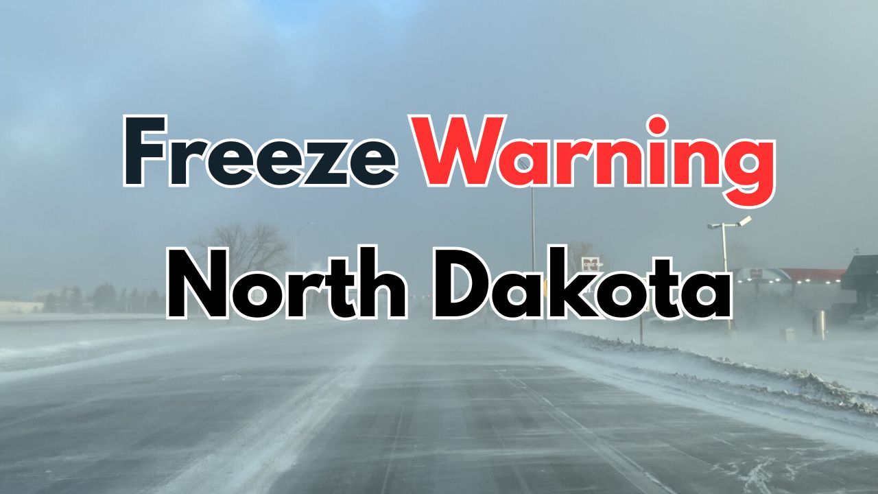 North Dakota Cold Snap Fall Freeze and Strong Winds Sweep the State Overnight