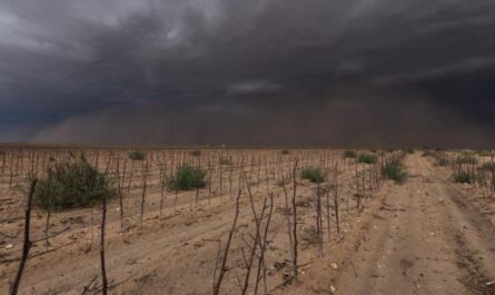 North Louisiana, East Texas Could See Quick-Moving Drought Develop by Mid-October