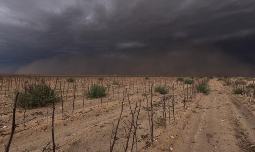 North Louisiana, East Texas Could See Quick-Moving Drought Develop by Mid-October
