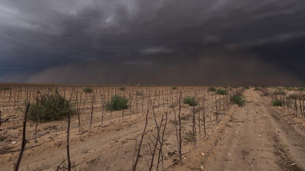North Louisiana, East Texas Could See Quick-Moving Drought Develop by Mid-October