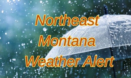 Northeast Montana Weather Alert Gusty Winds and Chilly Rain Forecasted Through Thursday
