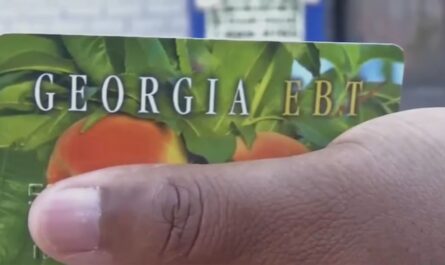 November SNAP Payments Suspended for Georgia Residents, Officials Say