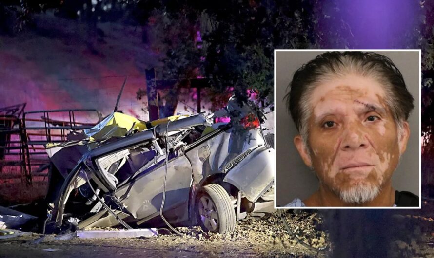 Previously Deported Driver Charged with Murdering Six in California DUI Crash