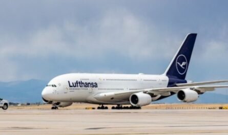 Student Allegedly Stabs Two Teens with Fork on Lufthansa Flight from Chicago to Germany