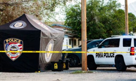 Tragic Murder-Suicide in Pima, Arizona: Mother and Two Children Killed
