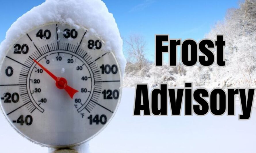 Western North Carolina Frost Advisory Issued: Temperatures Near Freezing Overnight