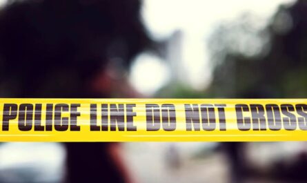 Woman Reports Dead Dog in Tote — What Police Found Next Was Even More Disturbing