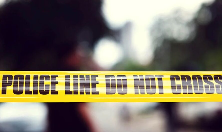 Woman Reports Dead Dog in Tote — What Police Found Next Was Even More Disturbing
