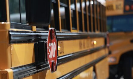 13-Year-Old Girl Was Expelled From a Louisiana Middle School After Hitting a Male Student Who Allegedly Shared Her AI-generated Pictures