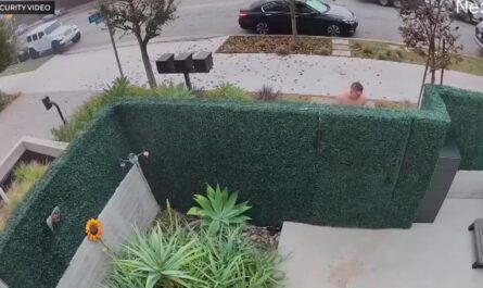 79-Year-Old Landlord Shoots Naked Intruder After Violent Attack in Los Angeles Apartment Complex