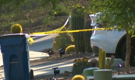 Arizona Man Found Dead Amidst Legal Battle Over Toddler's Hot Car Death