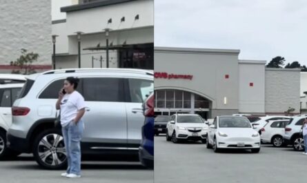 California Woman Sparks Massive Parking Lot Jam Pretending Not to Speak English to Save Spot