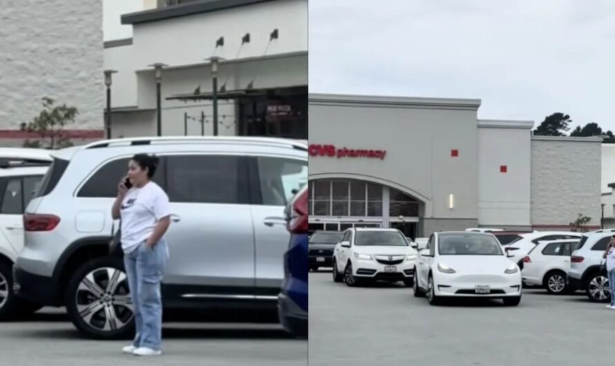 California Woman Sparks Massive Parking Lot Jam Pretending Not to Speak English to Save Spot