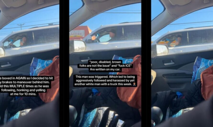 Disabled Michigan Man Harassed Over Anti-ICE Messages on His Car: A Harrowing Ten-Minute Pursuit
