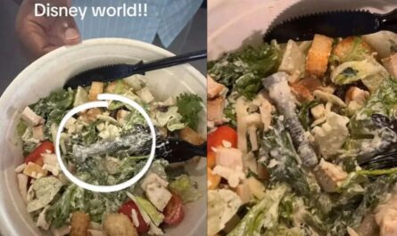 Florida Woman Finds Metal Bolt in Disney World Salad, Sparks Food Safety Concerns