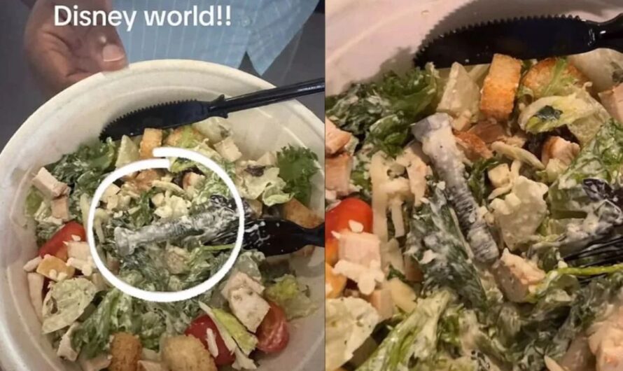Florida Woman Finds Metal Bolt in Disney World Salad, Sparks Food Safety Concerns