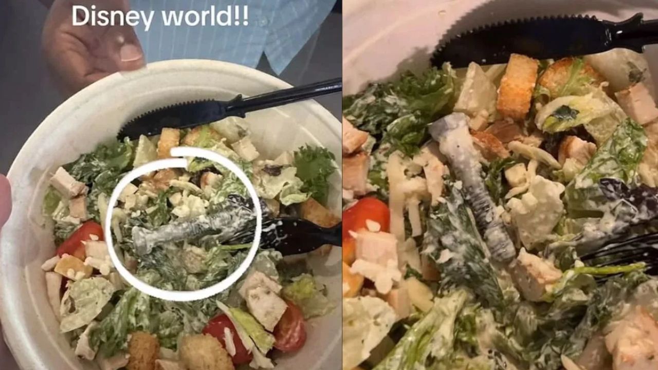 Florida Woman Finds Metal Bolt in Disney World Salad, Sparks Food Safety Concerns