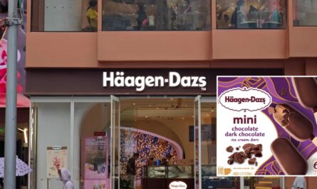 Häagen-Dazs Ice Cream Bars Recalled Across 30+ States Due to Wheat Allergy Risk