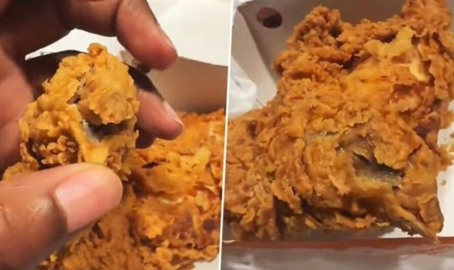 Houston Woman Finds Fried Chicken Head in Popeyes Meal, Sparks Viral Outcry