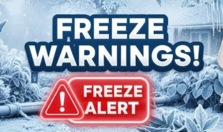 Illinois Freeze Warning Essential Safety Tips for Residents, Pets, Pipes, and Plants