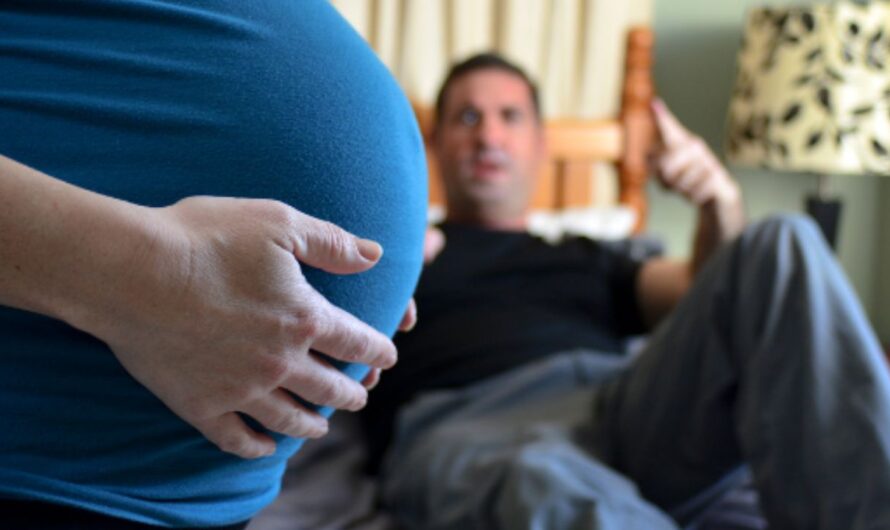 Man Takes 7 Months to Move to Pregnant Girlfriend in Long-Distance Relationship: Balancing Practicality and Emotions