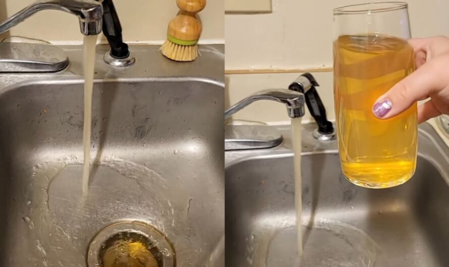 Michigan Woman’s Viral Video Shows Yellow Tap Water, Highlighting America’s Water Crisis