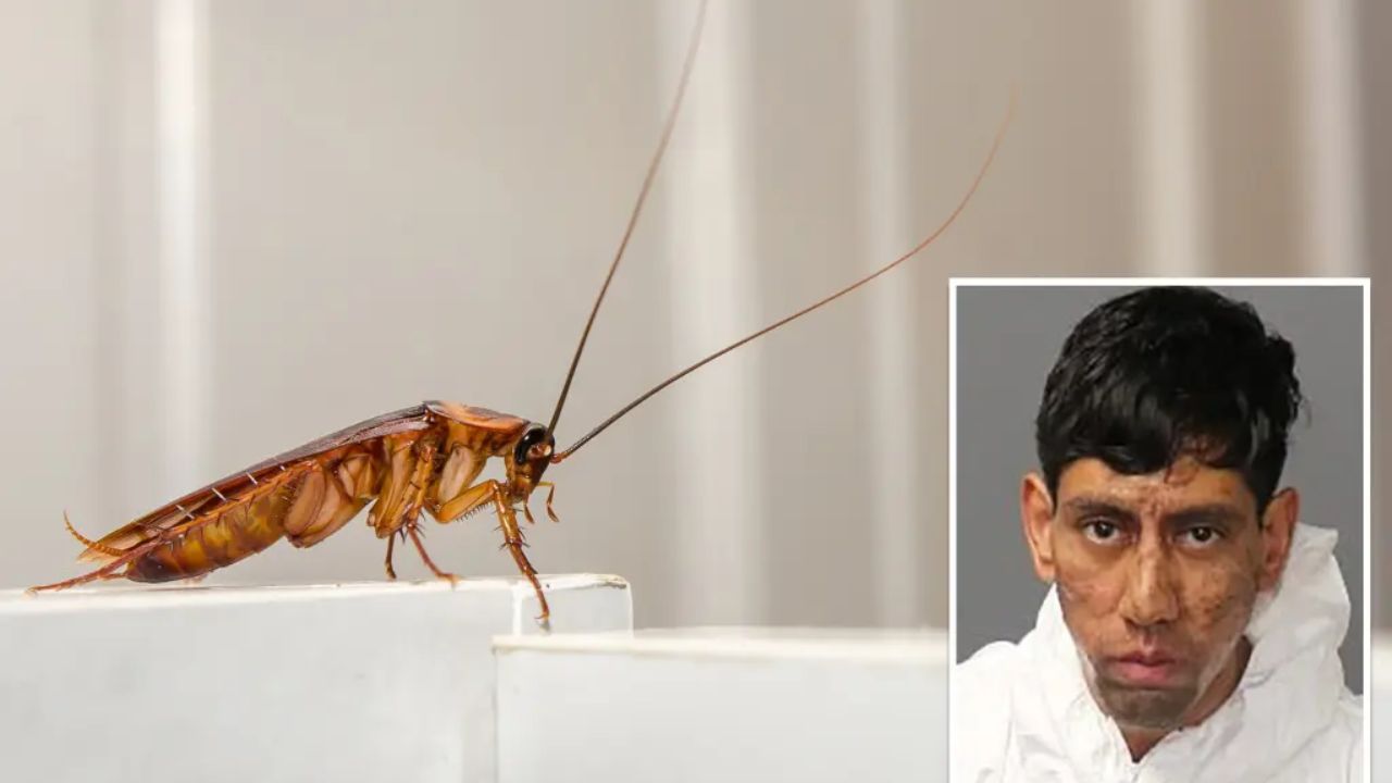 Albuquerque Man Charged in Double Homicide Claims Cockroach Sent Him a Message to Kill