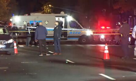 NYPD Fatally Shoots Armed Man Threatening Upper East Side and Mount Sinai Hospital