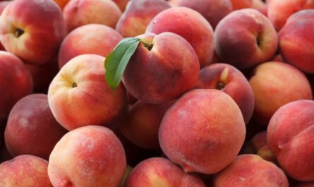 Nationwide Recall of California-Grown Peaches Due to Listeria Contamination Risk