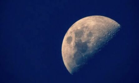 New Mexico Forecast Mild Temperatures Stick Around Before Next Week’s Cooldown