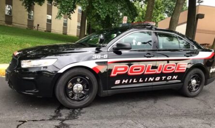 Pennsylvania Man Accidentally Shot by Dog While Cleaning Shotgun in Rare Incident