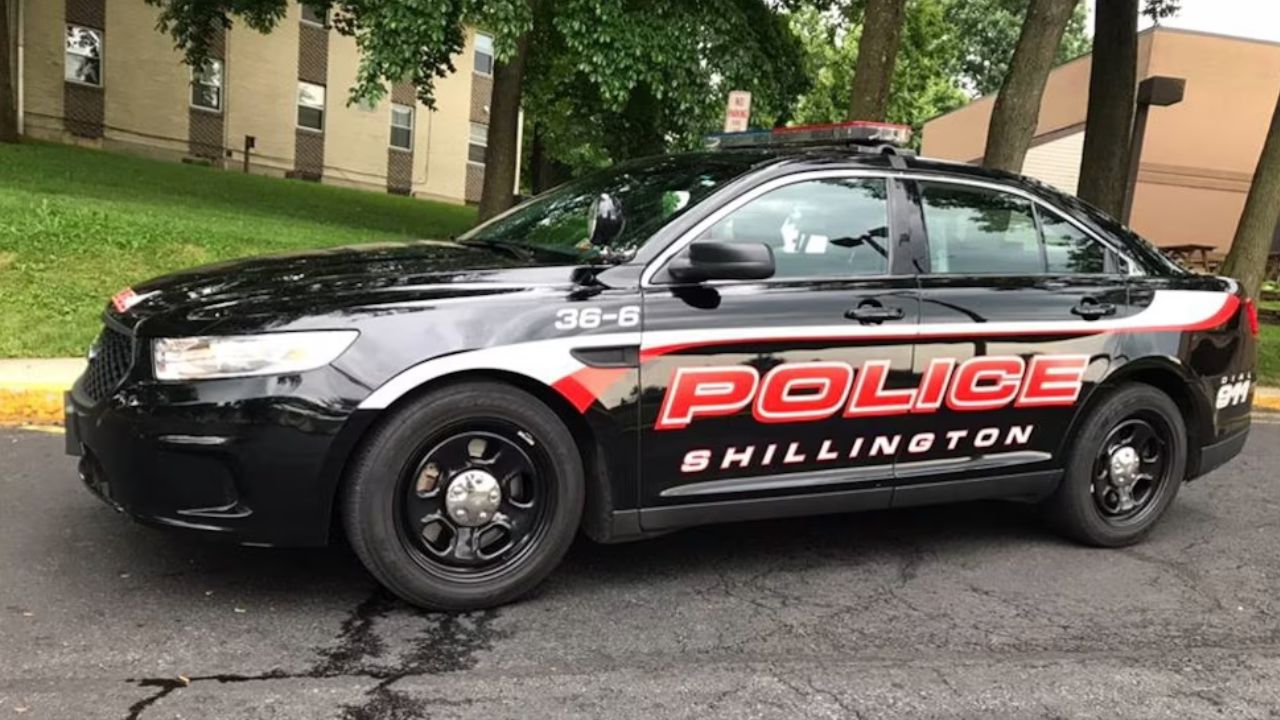 Pennsylvania Man Accidentally Shot by Dog While Cleaning Shotgun in Rare Incident