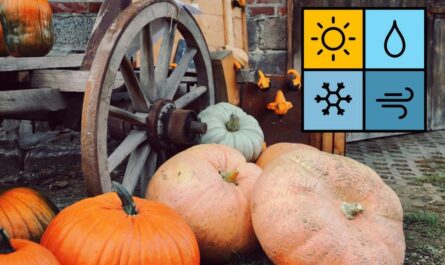 Tennessee Valley Weather Alert Warm Thanksgiving Followed by Colder December Across Alabama and Kentucky